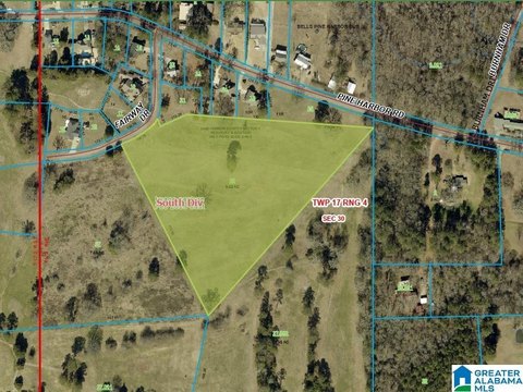 LAND/LOTS, PELL CITY, AL