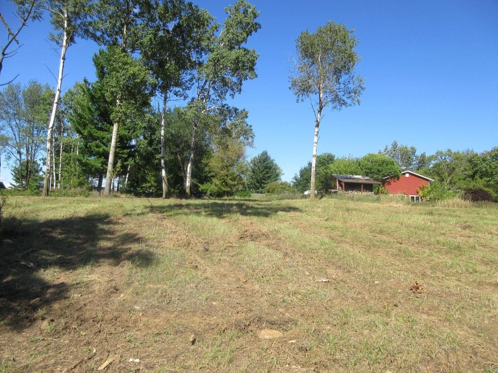 Picture 10
