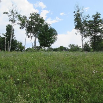 LAND - Menomonie, WI