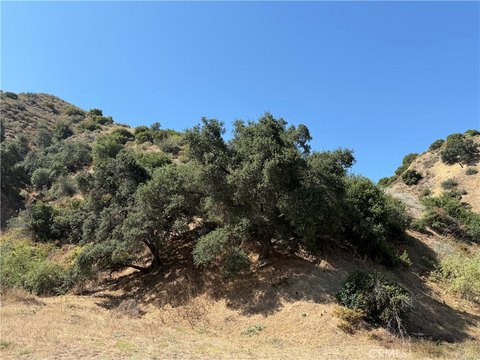 LAND - Sun Valley, CA