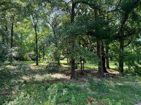 Jasper, TX Wooded Lot
