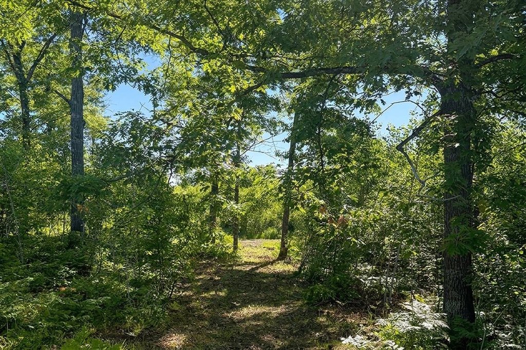 Picture 15