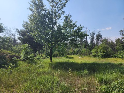 Recreational Land Near Huron Forest
