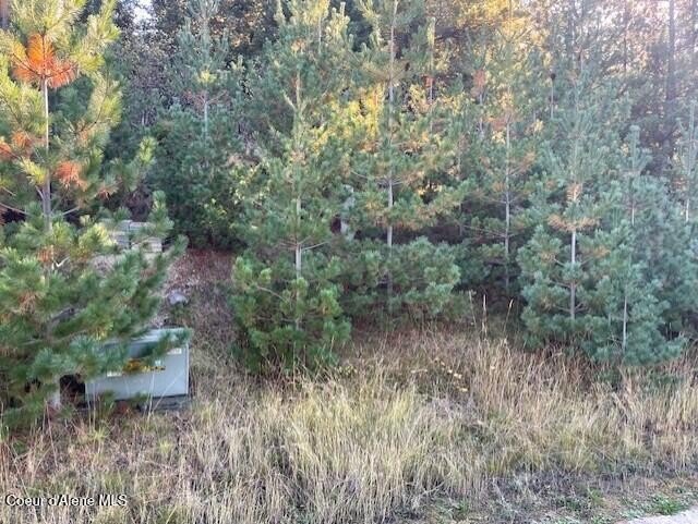 Picture 3