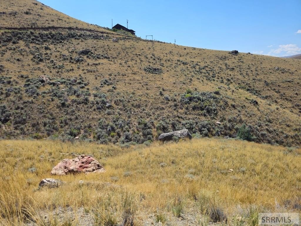 Picture 9