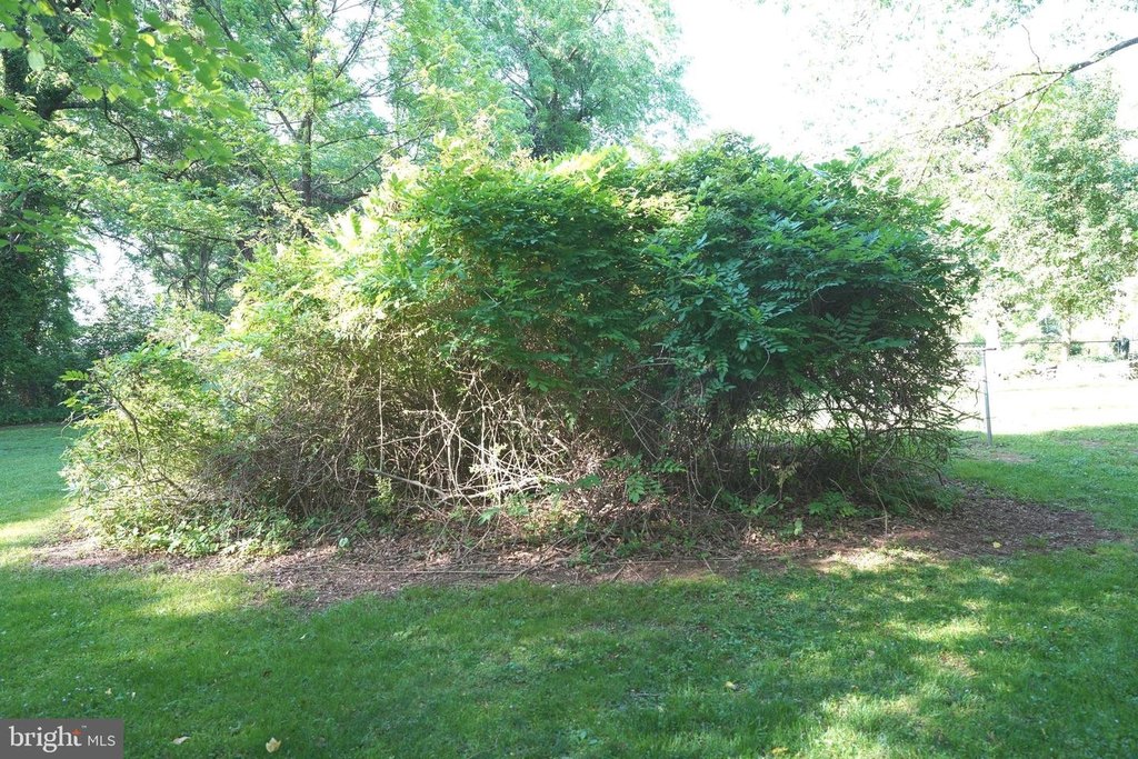 Picture 22