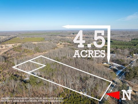 Wooded Land Parcel in Pamplin
