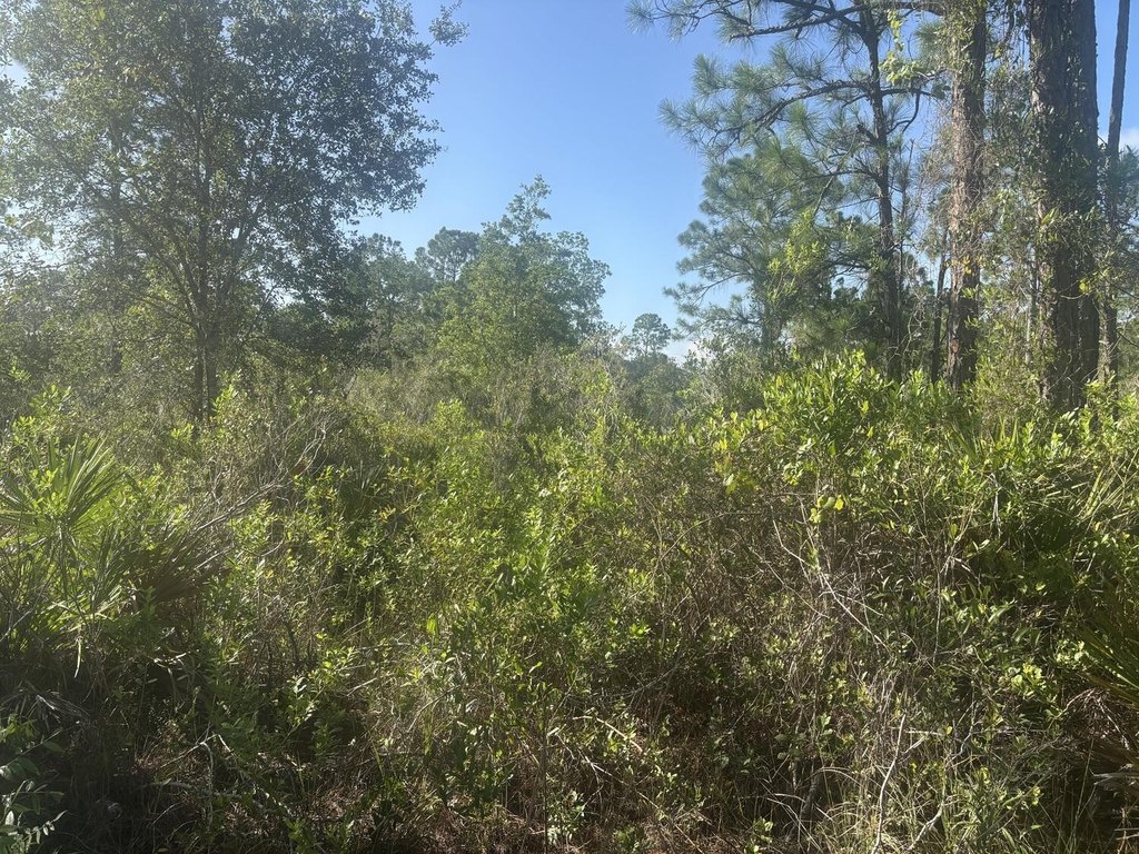 Picture 2