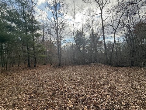 Tennessee Land for Homesite or Retreat