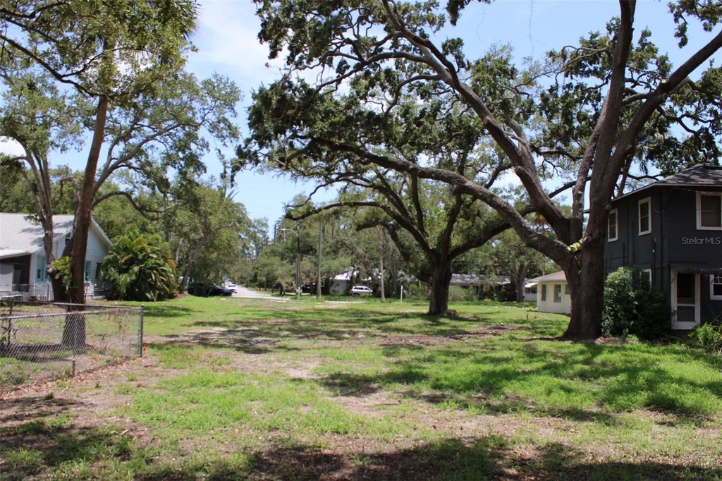 Picture 21