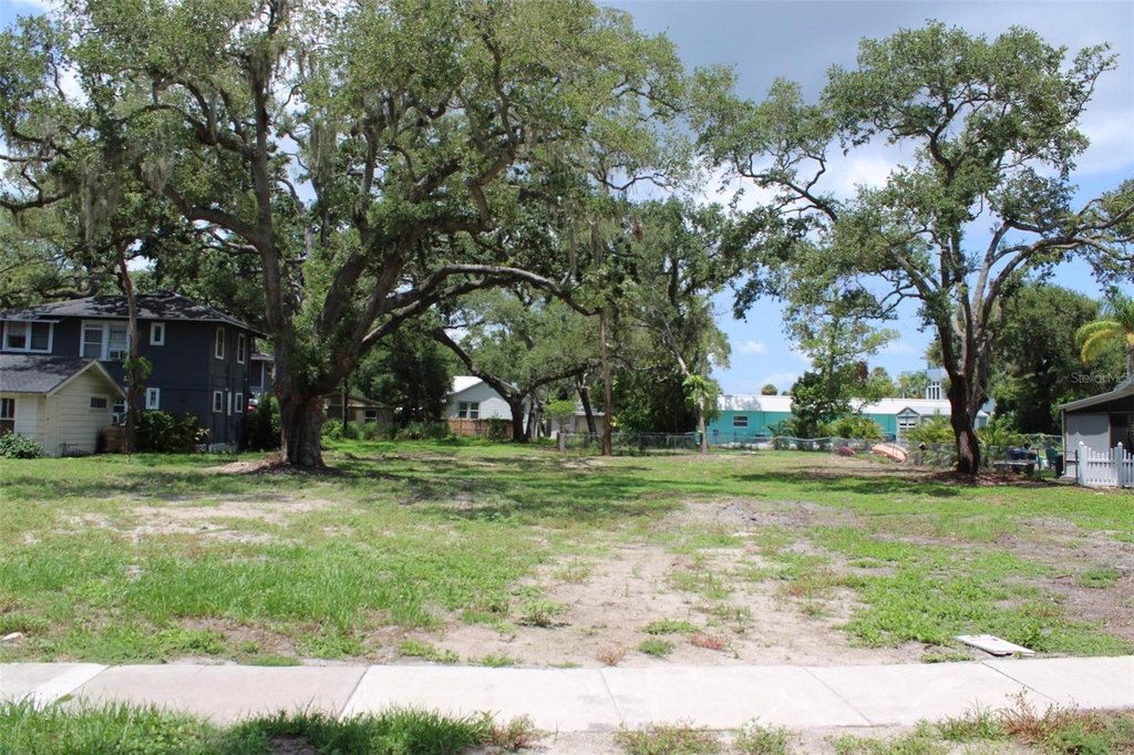 Picture 23