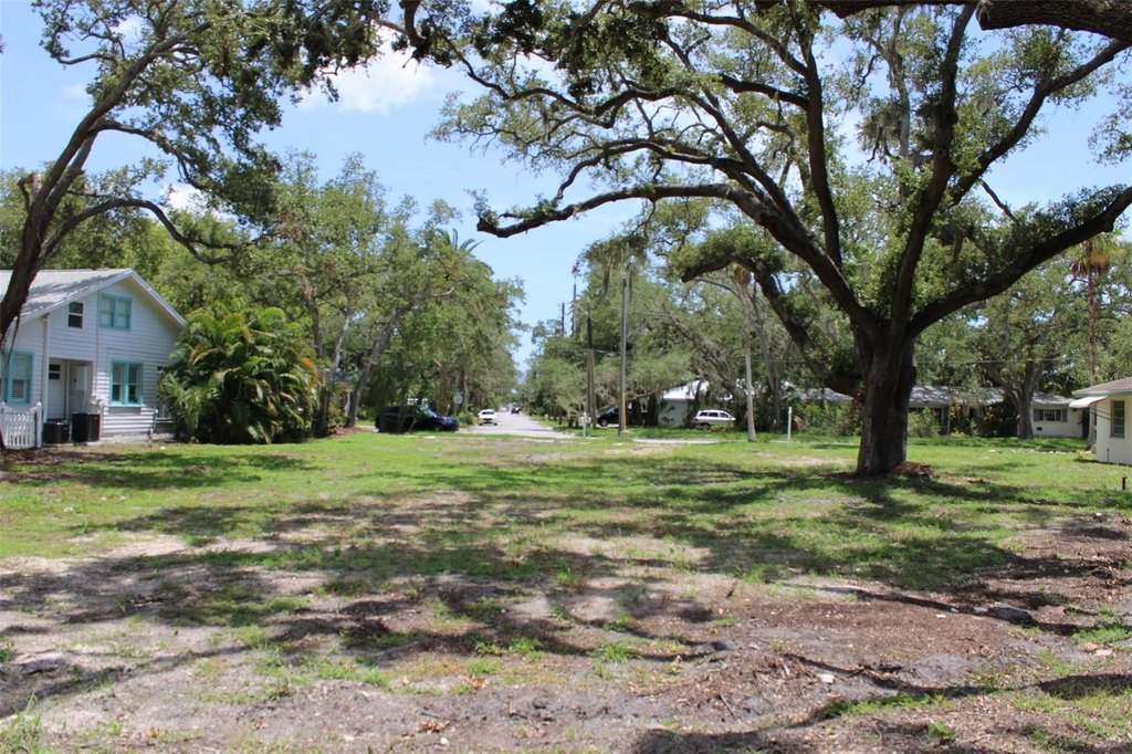 Picture 19