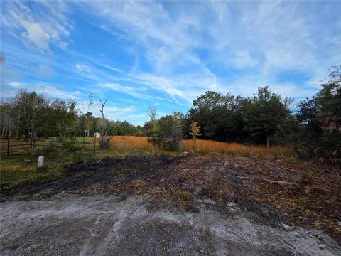 3-Acre Homesite Near I-4