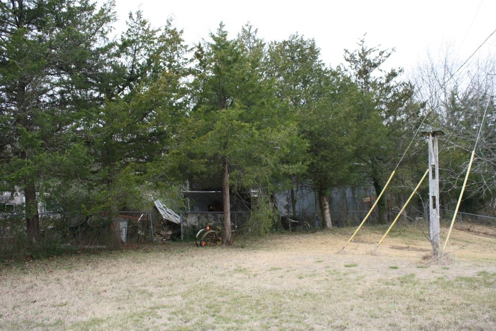 Picture 4