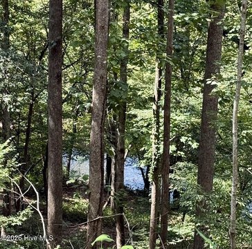 Land, Marble, NC