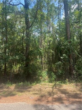 LAND - Bayou La Batre, AL