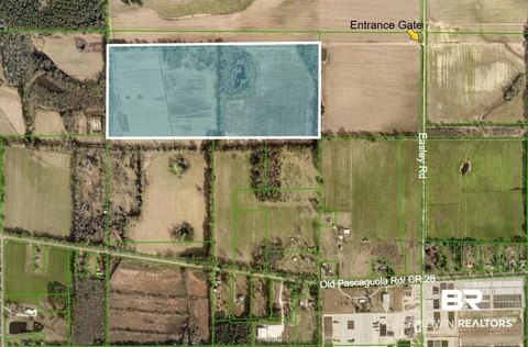 Agricultural Land with Wooded Acreage
