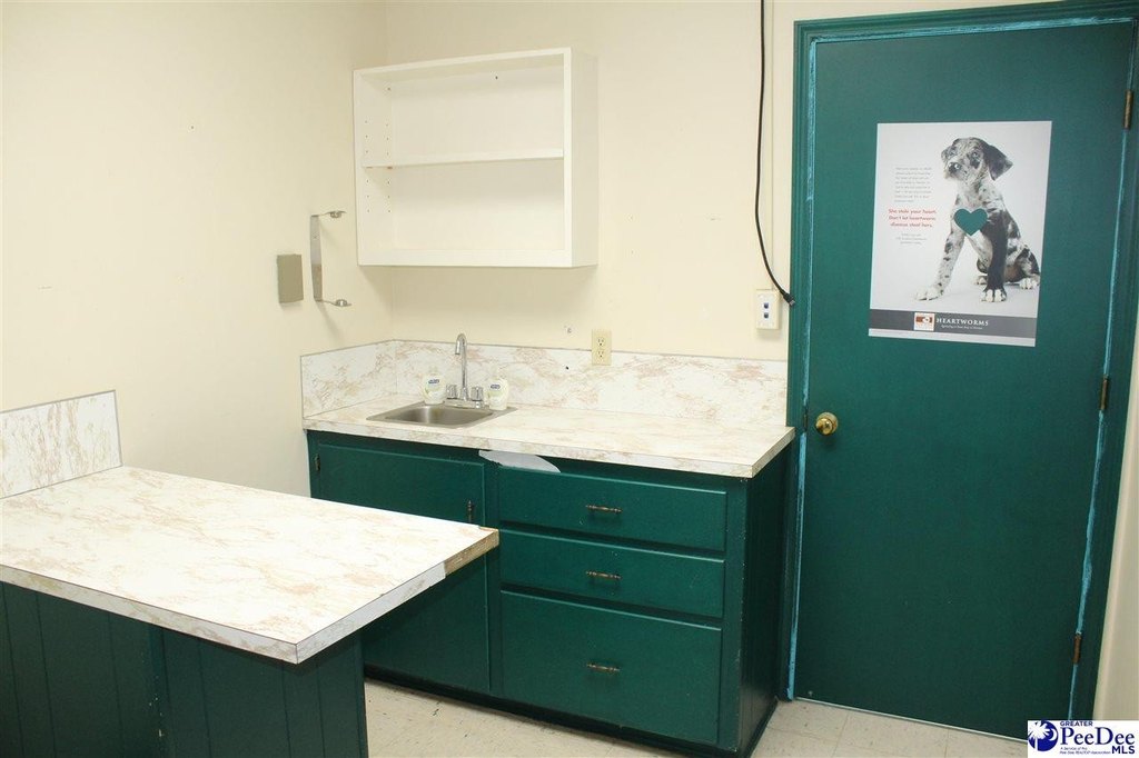 Picture 8