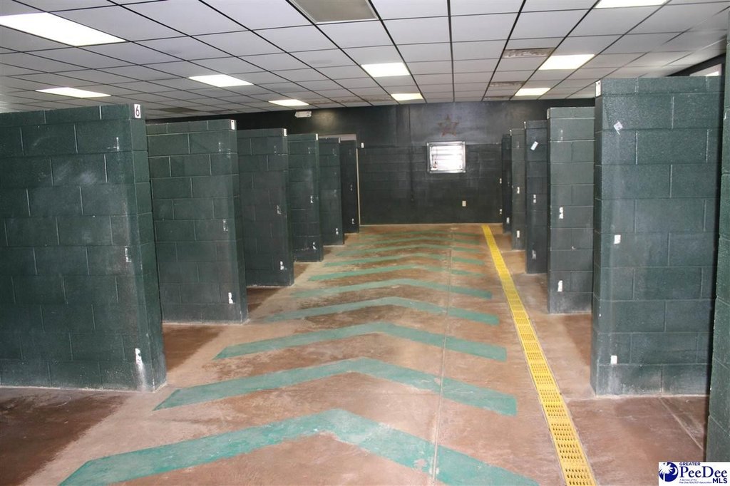 Picture 18