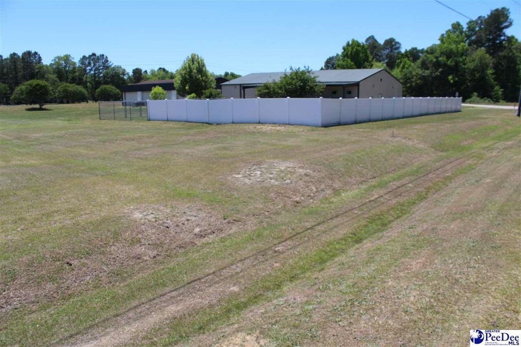 Picture 28