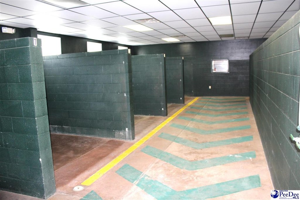 Picture 20