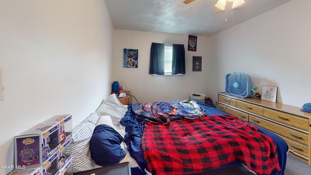 Picture 19