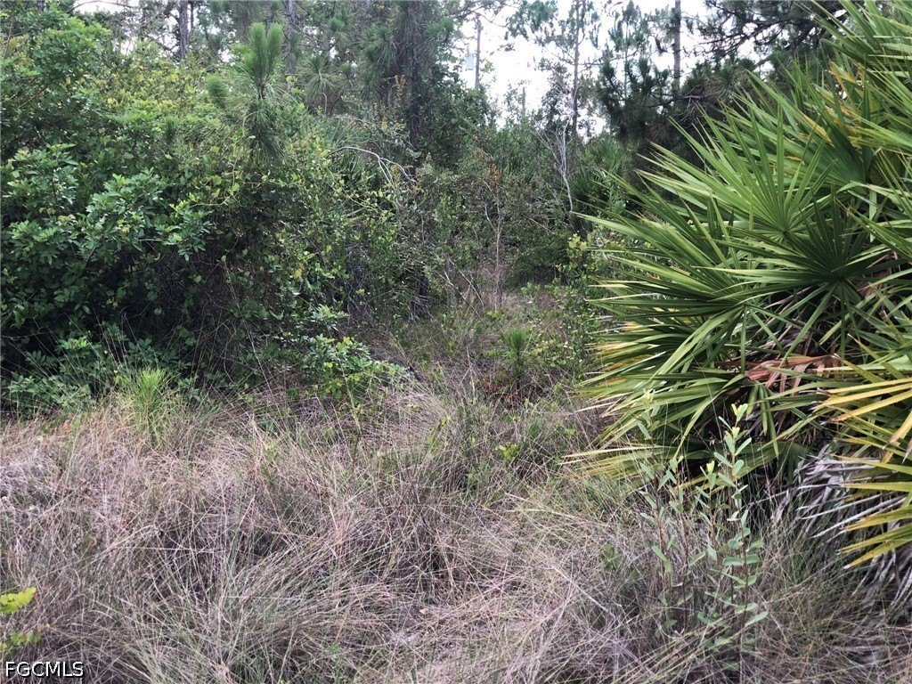 Picture 6