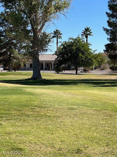 Picture 15