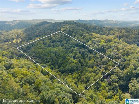 LAND/LOTS, SPRINGVILLE, AL