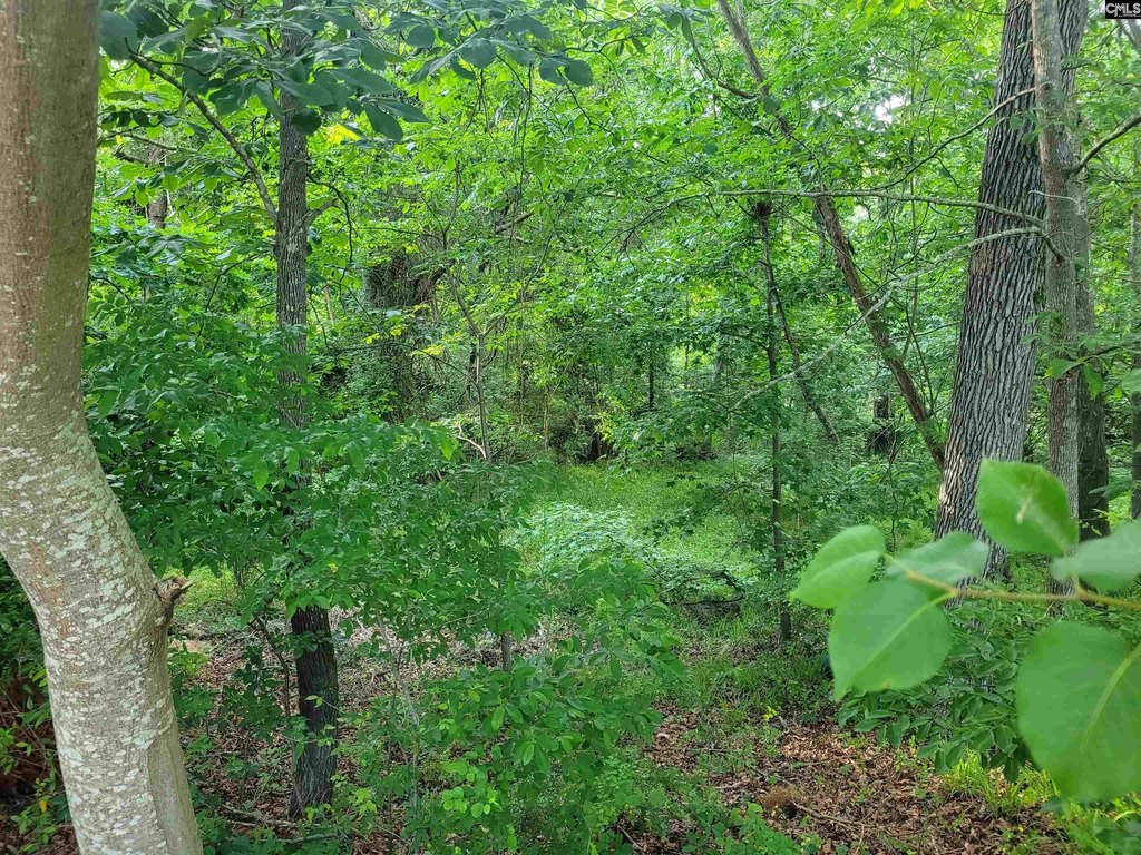 Picture 16