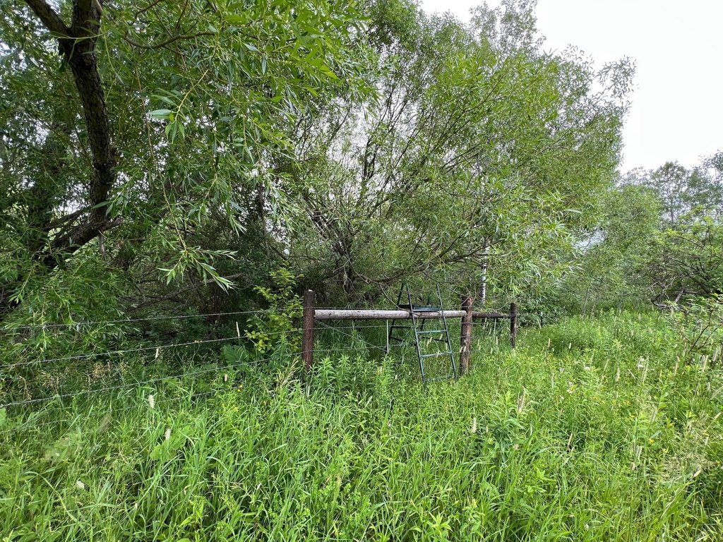 Picture 36