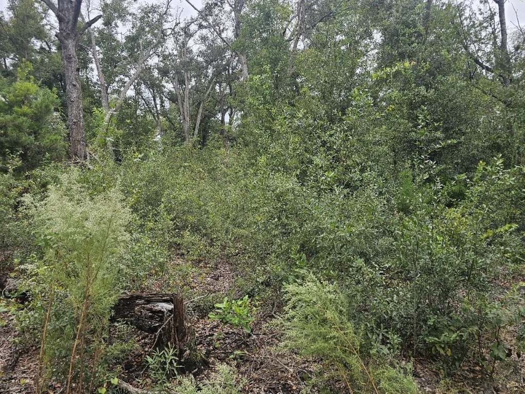 Picture 11
