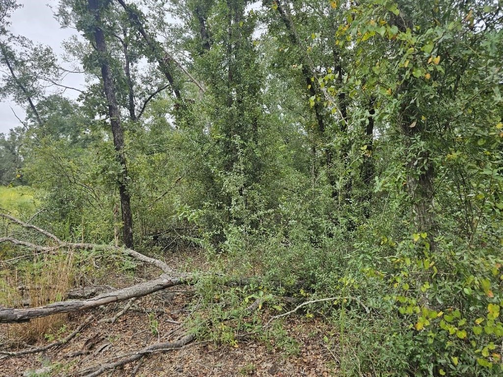 Picture 10