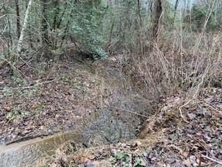 Creekfront Residential Building Lot