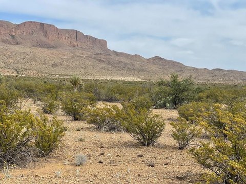Terlingua Land with Mesa View