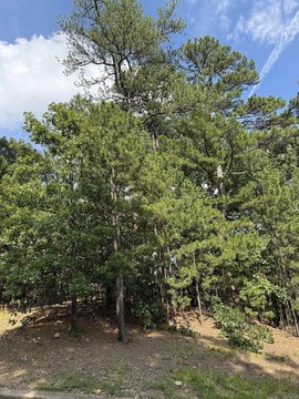 Vacant Lots in Little Rock