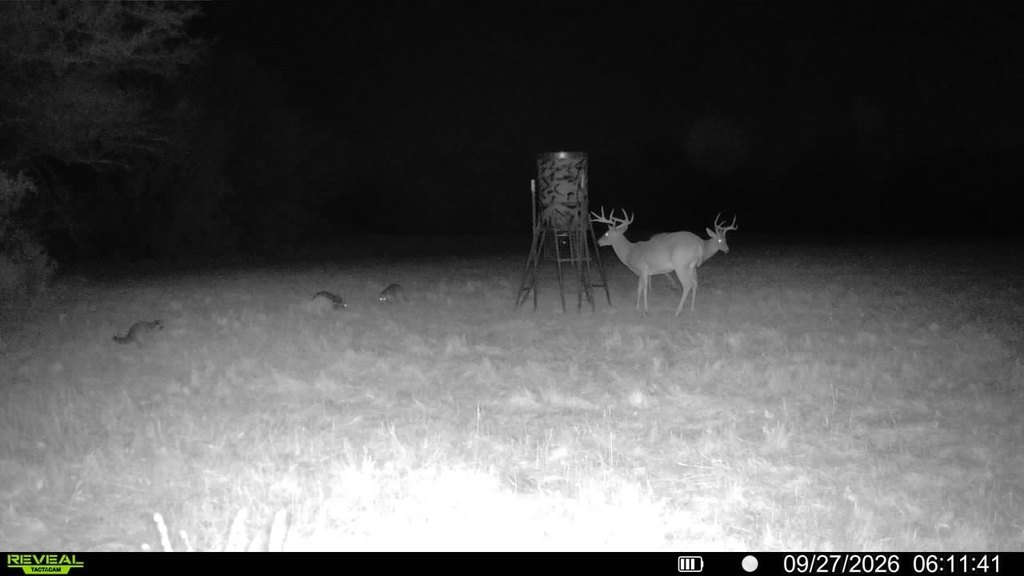 Picture 3