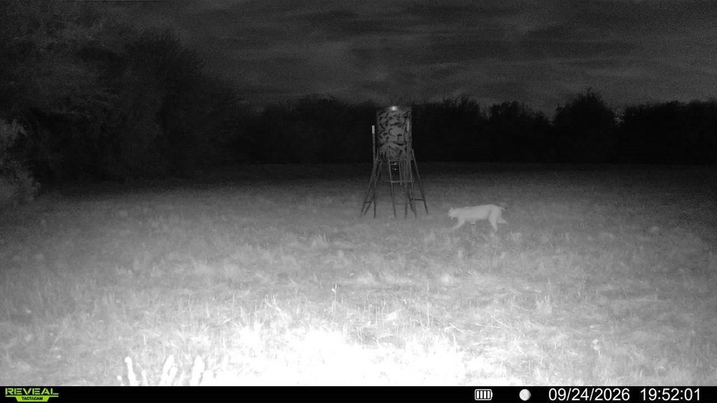 Picture 5