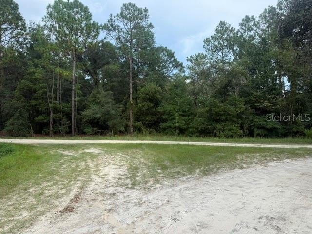 Picture 6