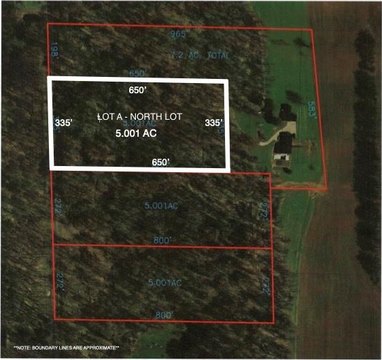 Secluded Wooded Lot Opportunity
