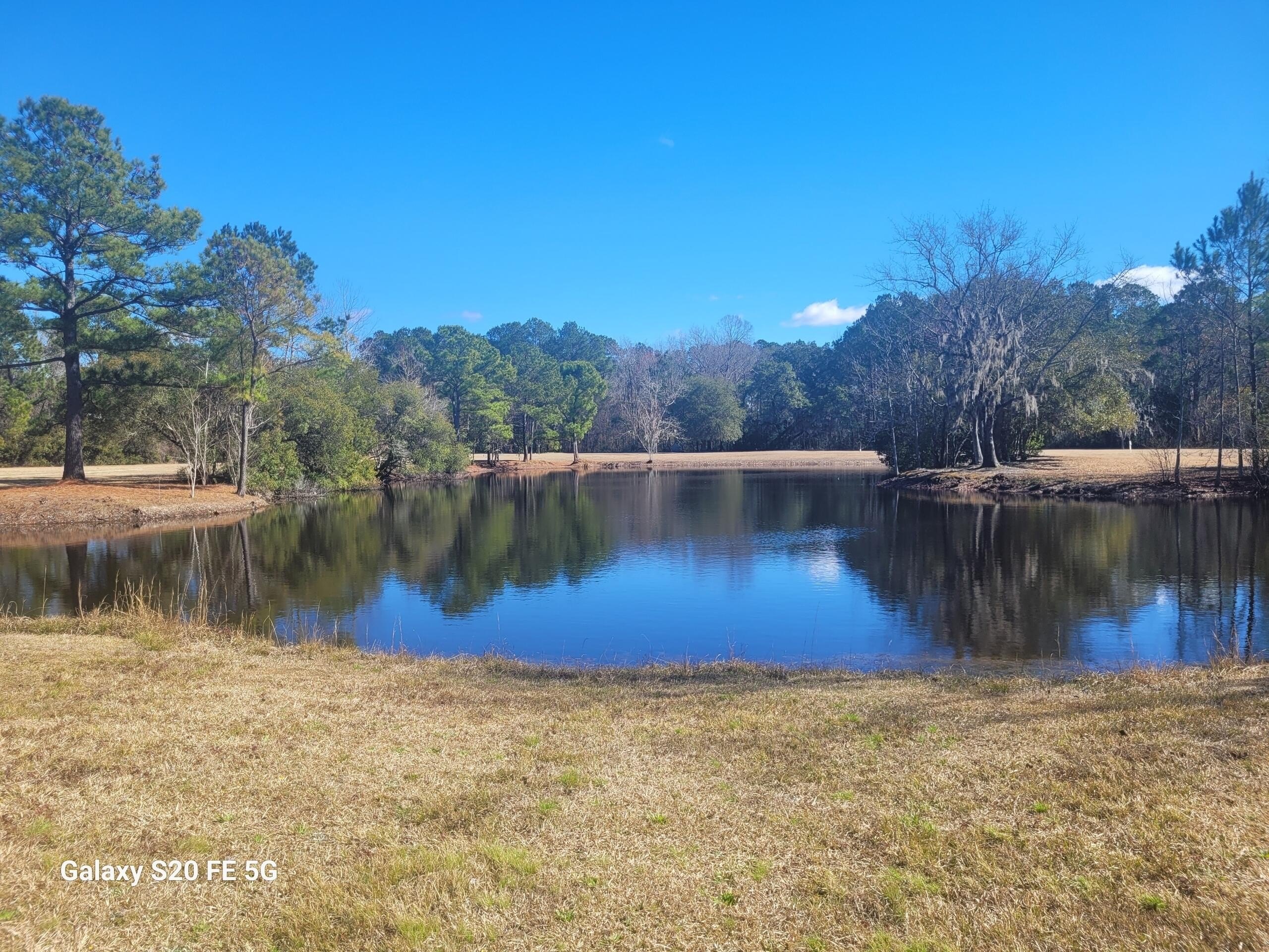 Cleared Land Near Spring-Fed Pond