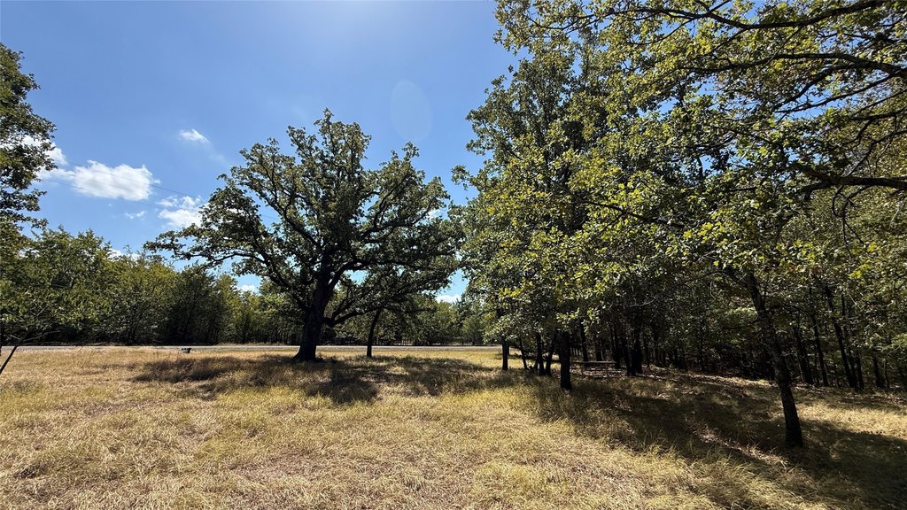 Picture 25