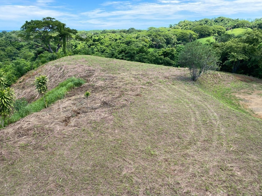 Picture 14
