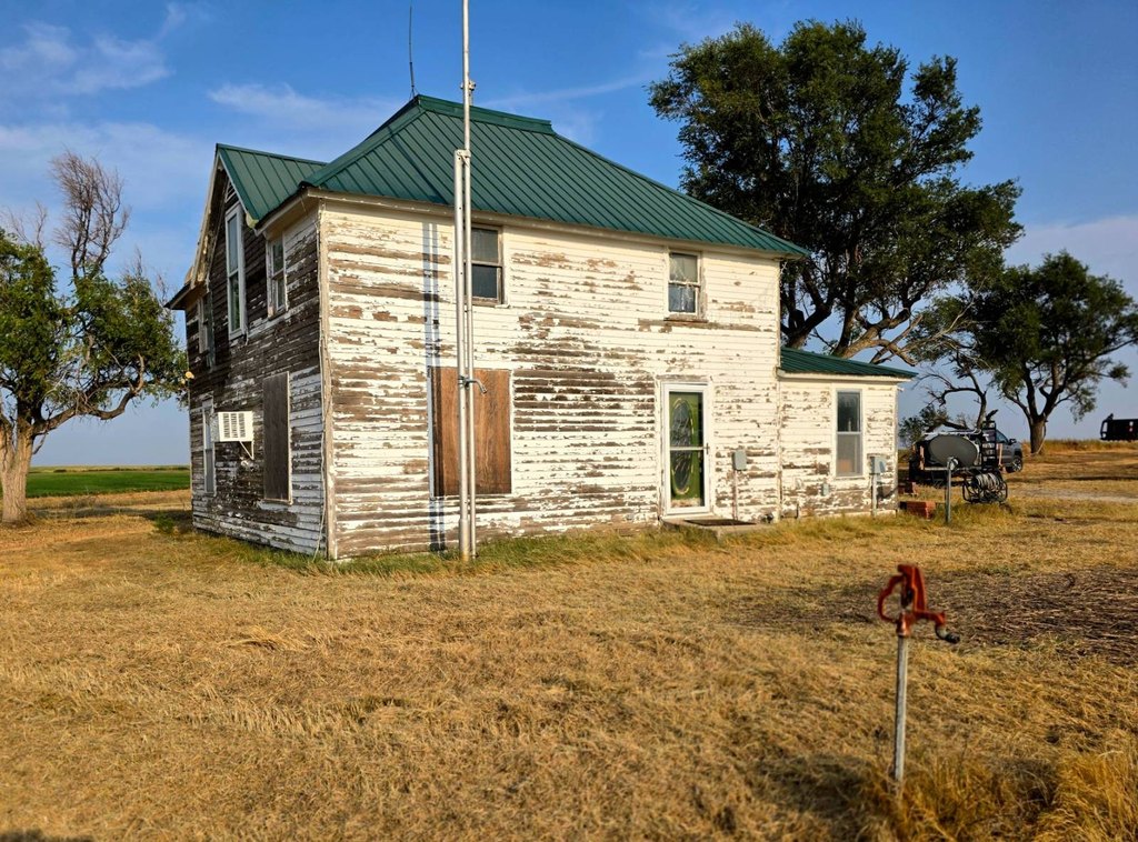 Picture 16