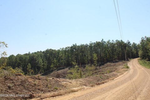 Land, Hickory Flat, MS
