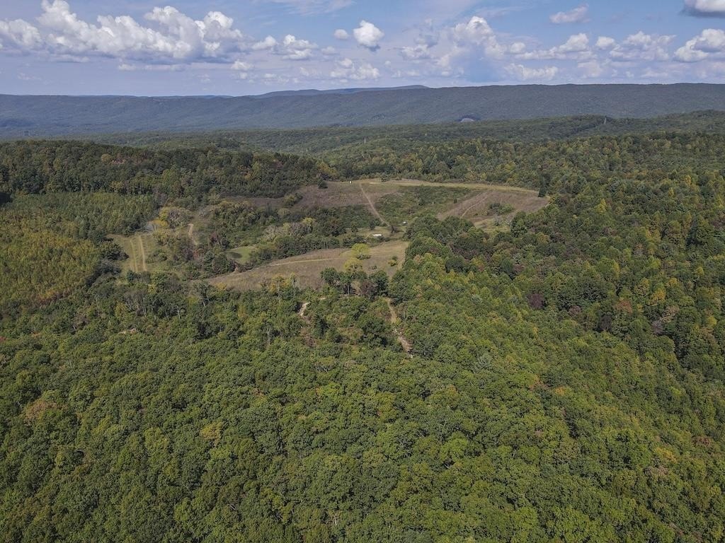 243 Acres Surrounded by Forest