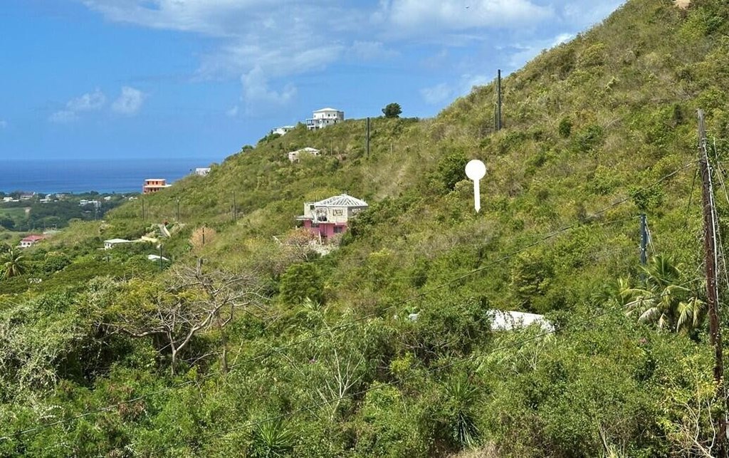 Picture 7