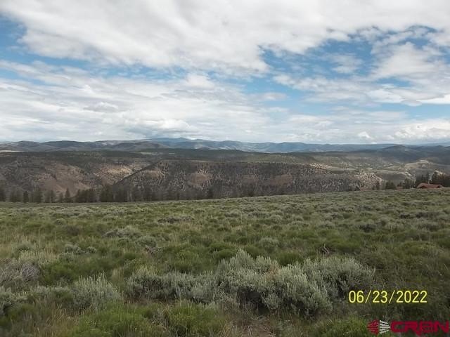 Picture 2