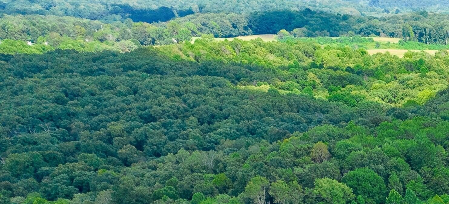 Wooded Acreage in Wilkesville Township