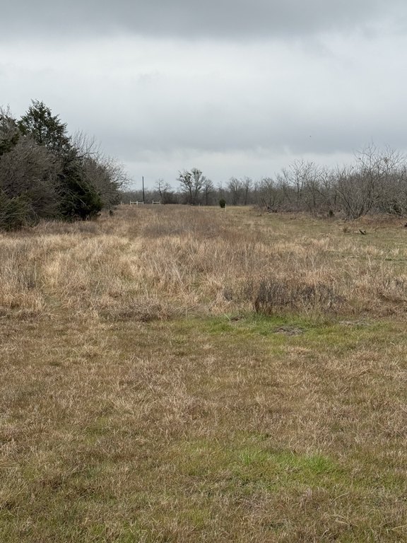 Picture 4